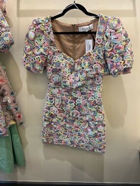 NWT Elliatt Rue Dress